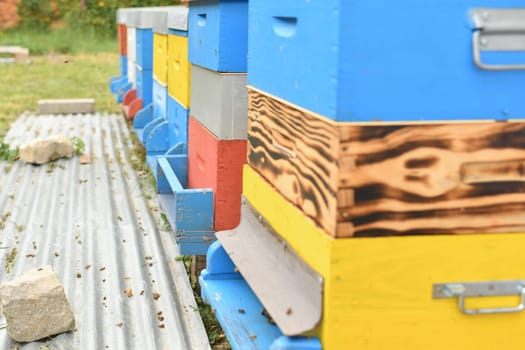 The bees fly into the box. Wooden beehive