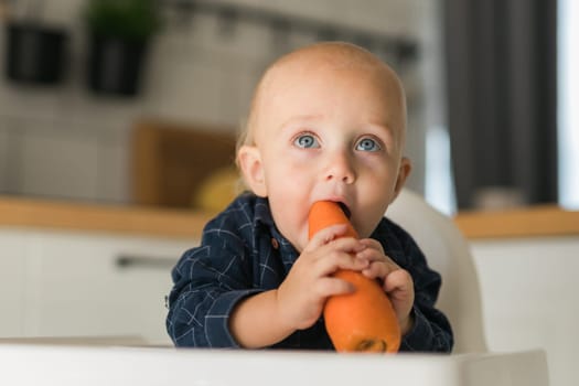 Happy baby sitting in high chair eating carrot in kitchen. Healthy nutrition for kids. Bio carrot as first solid food for infant. Children eat vegetables. Little boy biting raw vegetable