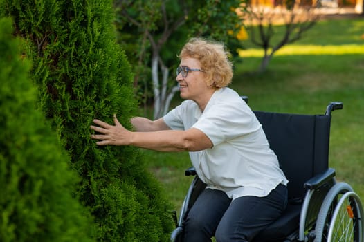 Happy elderly woman in a wheelchair rejoices in a walk outdoors