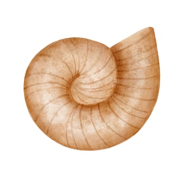 Seashell isolated on white background. Watercolor illustration.