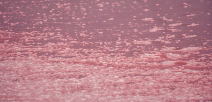 Salt mining. Salty pink lake with crystals of salt. Extremely salty pink lake, colored by microalgae with crystalline salt depositions