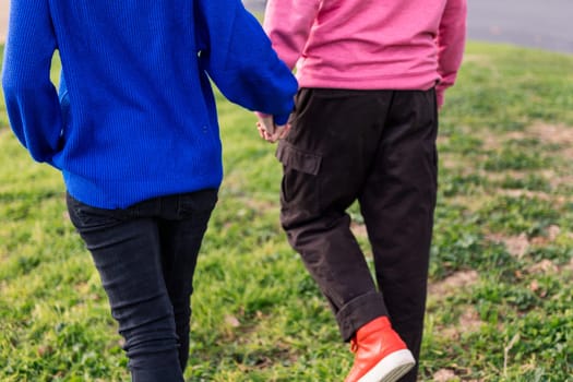 two unrecognizable people walking together holding hands in a park, concept of bonding and love