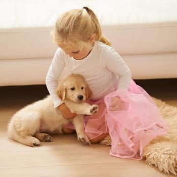 Child, golden retriever or dog playing together in a happy home with love, care and development. Girl kid and animal, puppy or pet in a tutu for dress up game as friends on the living room floor.