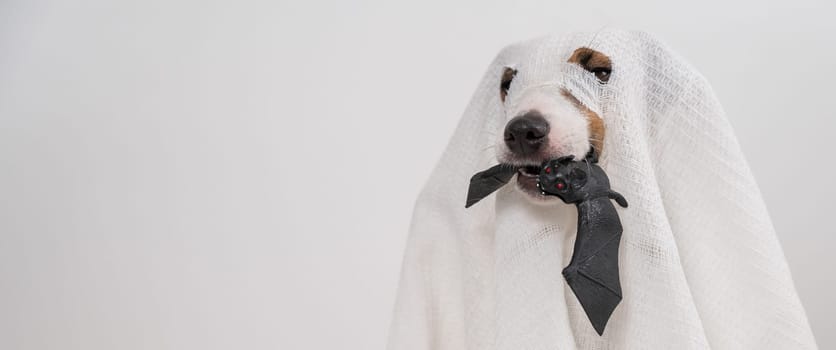Jack Russell Terrier dog in a ghost costume holding a bat on a white background