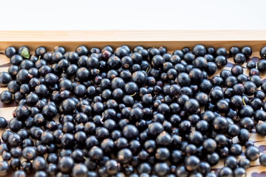 Heap of black currant. Textured background.vitamins and berries