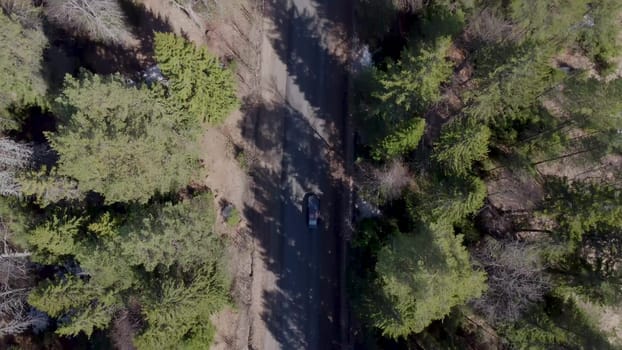 View of the forest road from a drone. The car is driving on the road. 4k