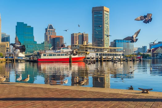 Downtown Baltiimore city skyline cityscape of Maryland in USA