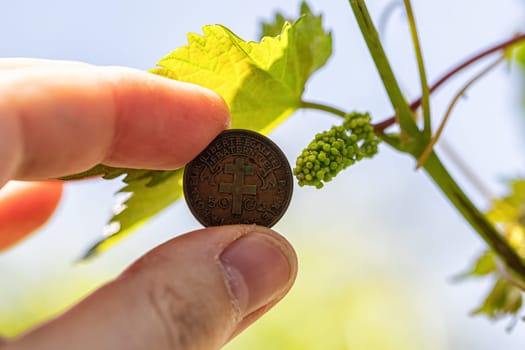 A very small grape brush against the background of a 50 centimes coin of French equatorial Africa