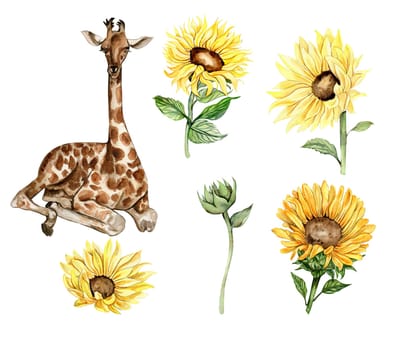 Watercolor giraffe and sunflowers illustration set. Cartoon tropical animal, exotic summer jungle design. Hand drawn designf for baby shower party, birthday,cake, greetings card, invitation.