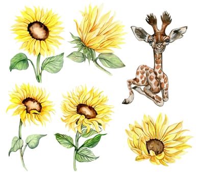 Watercolor giraffe and sunflowers illustration set. Cartoon tropical animal, exotic summer jungle design. Hand drawn designf for baby shower party, birthday,cake, greetings card, invitation.