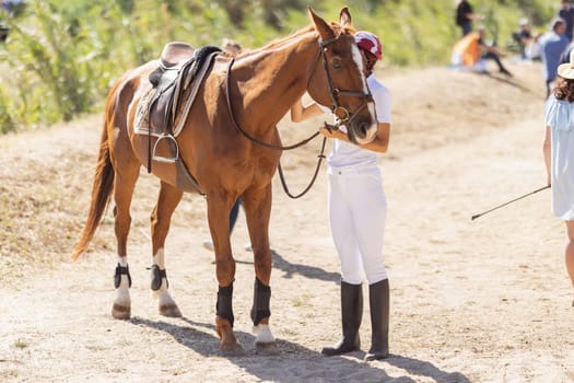 A female rider stands next to a brown horse outdoors. Mid shot