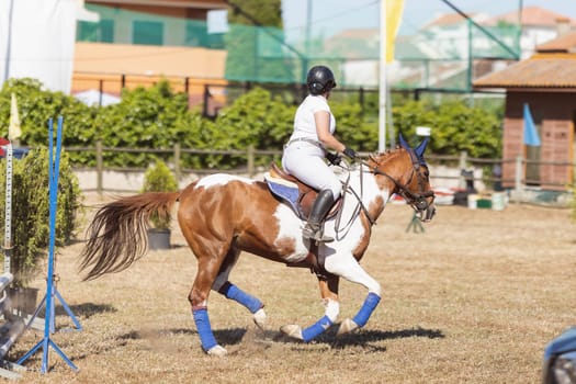 Female rider riding a spotted horse in the outdoor arena. Mid shot