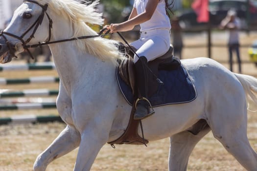 Equestrian sport - a little girl in uniform riding white horse at the ranch. Mid shot