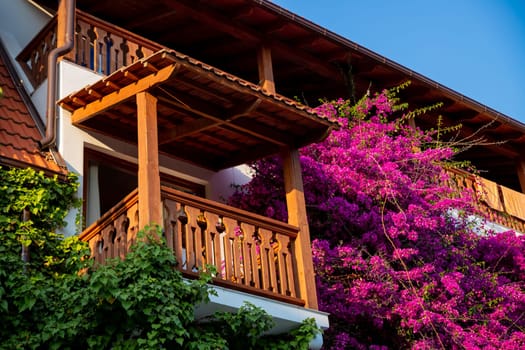 Blooming bougainvillea or paper flower at the balcony's fence.