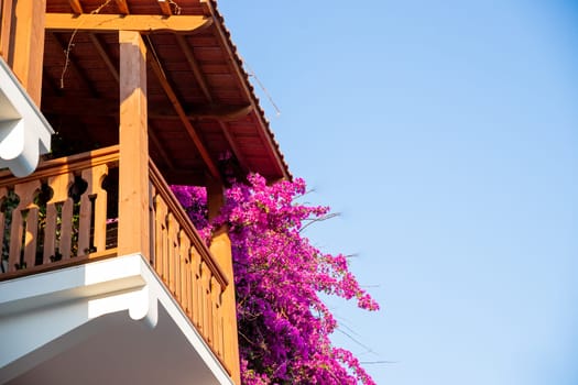 Blooming bougainvillea or paper flower at the balcony's fence.