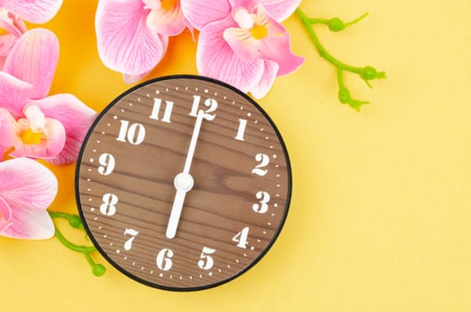 Wooden clock and pink streaked orchid flower on yellow background.