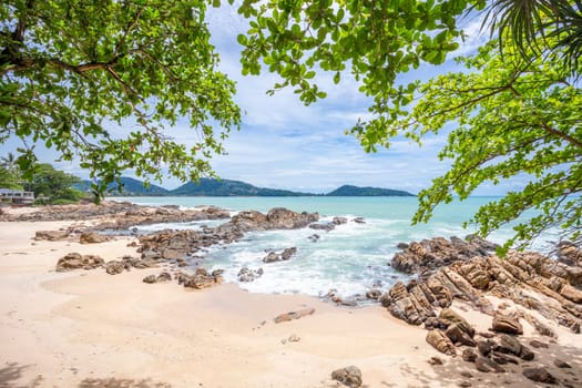 Summer holiday and vacation background concept of beautiful leaves frame trees on tropical beach in summer season