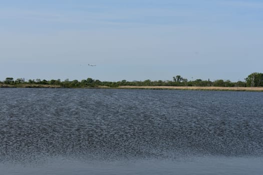 Ripples in Blue Water, West Pond at Jamaica Bay Wildlife Refuge. High quality photo