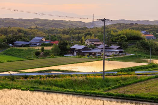 Golden hour light on flooded rice fields by large house in rural village. High quality photo