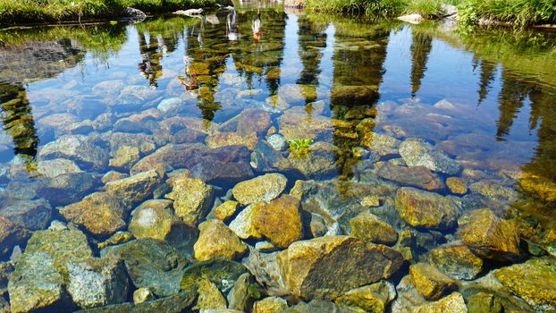 Mountain clear water of the stream and green fields. There are large stones on the shore. Grass is growing. Tall coniferous trees in forest. Tourists are walking in distance and flowers are growing