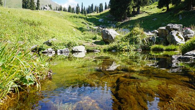 Mountain clear water of the stream and green fields. There are large stones on the shore. Grass is growing. Tall coniferous trees in forest. Tourists are walking in distance and flowers are growing