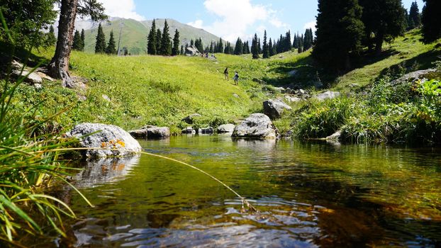 Mountain clear water of the stream and green fields. There are large stones on the shore. Grass is growing. Tall coniferous trees in forest. Tourists are walking in distance and flowers are growing