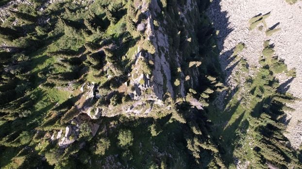 A high rock in the middle of a forest in the mountains. Green coniferous trees, grass, bushes. Mountainous terrain. Spruce trees grow on the rock. A cliff. Large stones. Top view from the drone