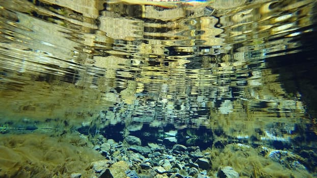 An incredible underwater world of a mountain river. Crystal clear clear water. Yellow rocks and green-brown algae. The rays of light are refracted into a blue color in the distance. An unusual world