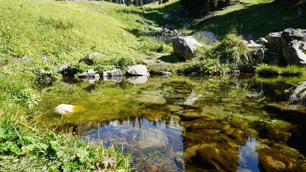 Mountain clear water of the stream and green fields. There are large stones on the shore. Grass is growing. Tall coniferous trees in forest. Tourists are walking in distance and flowers are growing