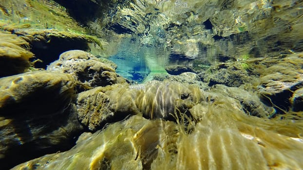 An incredible underwater world of a mountain river. Crystal clear clear water. Yellow rocks and green-brown algae. The rays of light are refracted into a blue color in the distance. An unusual world