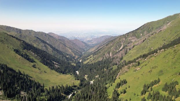 View of the green gorge and the city of Almaty below. A haze of smog rises up the gorge. Air pollution. Spruce trees grow, green grass, forest, a river runs. Big rocks on the hills. Kazakhstan