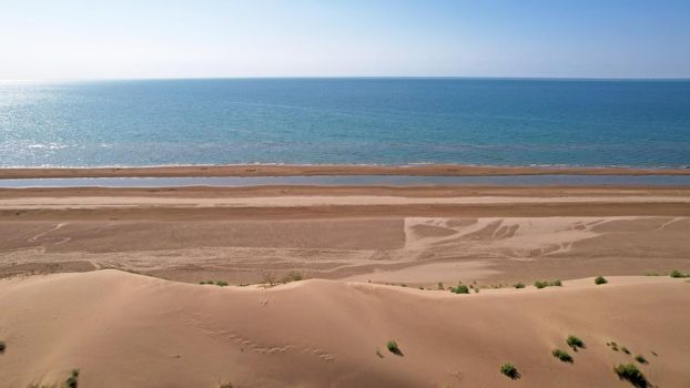 A high sand dune on the ocean shore. Small yellow-green grasses and bushes grow. The blue color of the water. The sun is shining brightly, reflecting in the water. Top view from the drone. Kapchagai