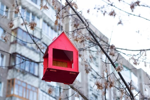 Red bird feeder on a branch of an autumn tree close up