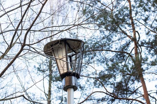 Old broken lantern among tree branches close up