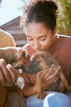 Love, dog and animal shelter with a black woman kissing a puppy at a rescue pound for adoption or care. Pet, homeless and foster with a female volunteer adopting a canine companion to rehome.