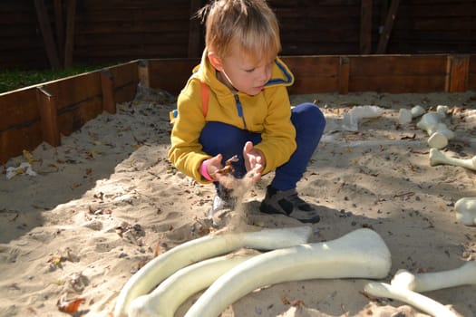 Good leisure for a child. Teaching a child through play. A handsome boy 3 oldl in a yellow jacket excavates the remains of dinosaurs. High quality photo. High quality photo