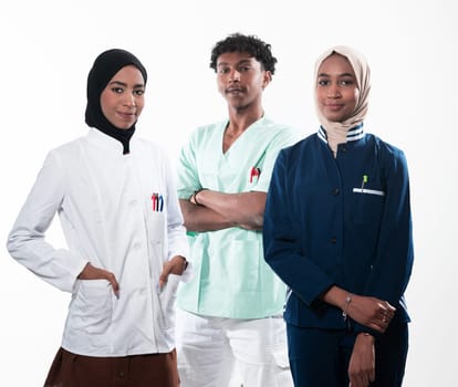 Closeup front view of group of mixed age doctors and nurses standing side by side and looking at the camera. Young Middle Eastern female in a team with African American black doctor. High quality photo