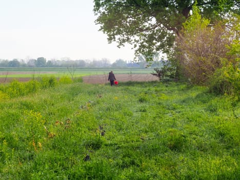 woman farmer harvesting spring veggies from organic vegetable garden hires image