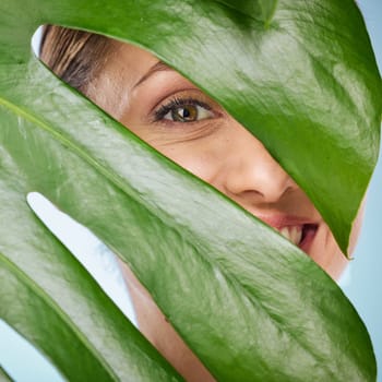 Portrait, skincare and palm leaf with a model woman posing in studio on blue background for beauty. Face, skin or nature with an attractive young female standing behind a plant for natural treatment.