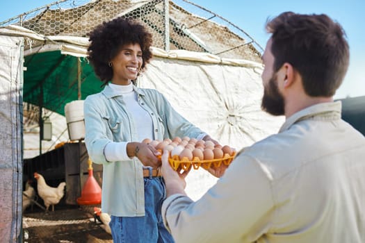 Egg production, chicken farmer and people in barn to check stock, logistics and supply chain of food industry. Happy black woman, poultry farming and eggs for growth, export or eco startup management.