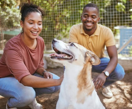 Black couple, dog and pet adoption at animal shelter for welfare, charity or help for homeless pets. Love, foster care and happy man and woman bonding, caring and touching animal at kennel outdoors