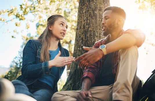 Conversation, argument and interracial couple in conflict in a park for communication about divorce. Angry, fight and black man and woman speaking about a relationship problem on a date in nature.