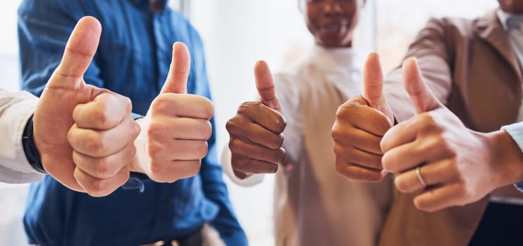 Business people, hands and thumbs up for success, good job or thank you in team agreement at office. Hand of group in teamwork showing thumb emoji, yes sign or like in support, winning or agree.