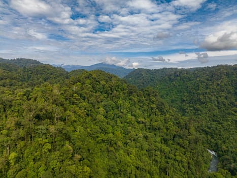 Aerial view of tropical forest in the mountains and jungle. Bukit Lawang. Sumatra, Indonesia.