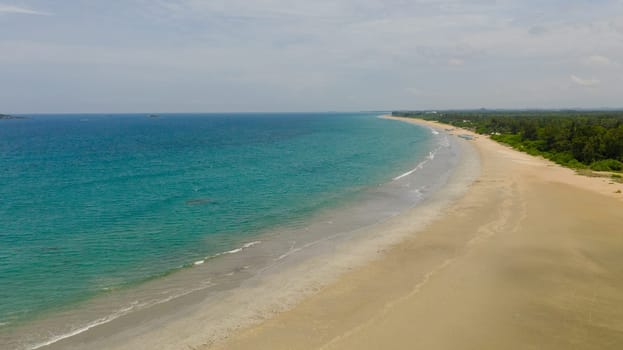 A tropical beach with palm trees and a blue ocean. Sri Lanka.