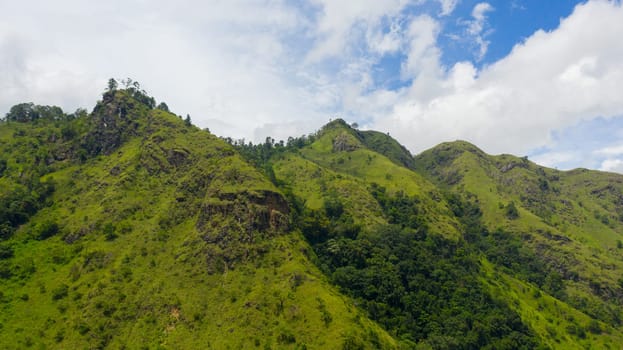 Aerial view of Fresh green foliage, tropical plants and trees covers mountains and ravine. Ella Rock, Sri Lanka.