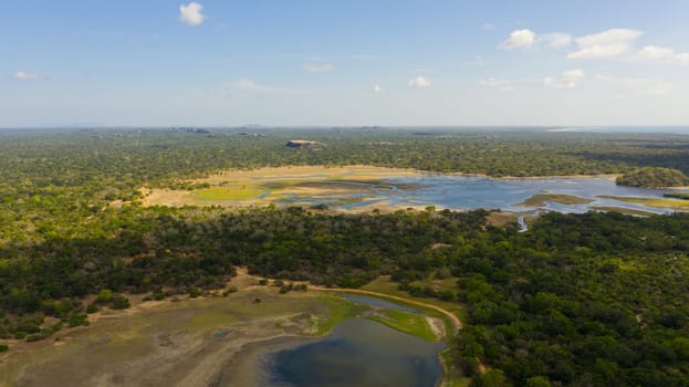 Aerial view of Lakes among the rainforest in the Kumana National Park. Sri Lanka. Tropical landscape.