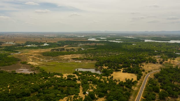 Aerial view of Agricultural land and rice fields in rural areas. Sri Lanka.