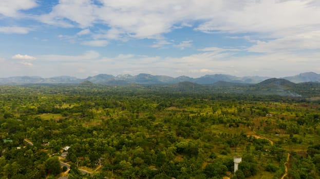 Top view of Farming land in the countryside among the rainforest and jungle. Sri Lanka.