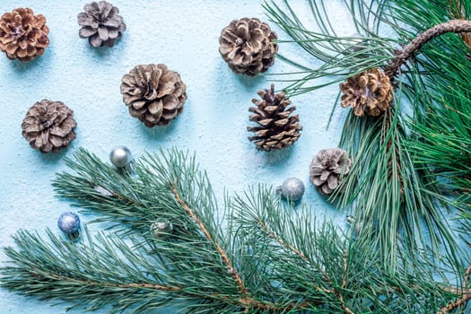 Christmas decoration. Branch christmas tree and cones spruce on snow on blue background. Top view, flat lay
